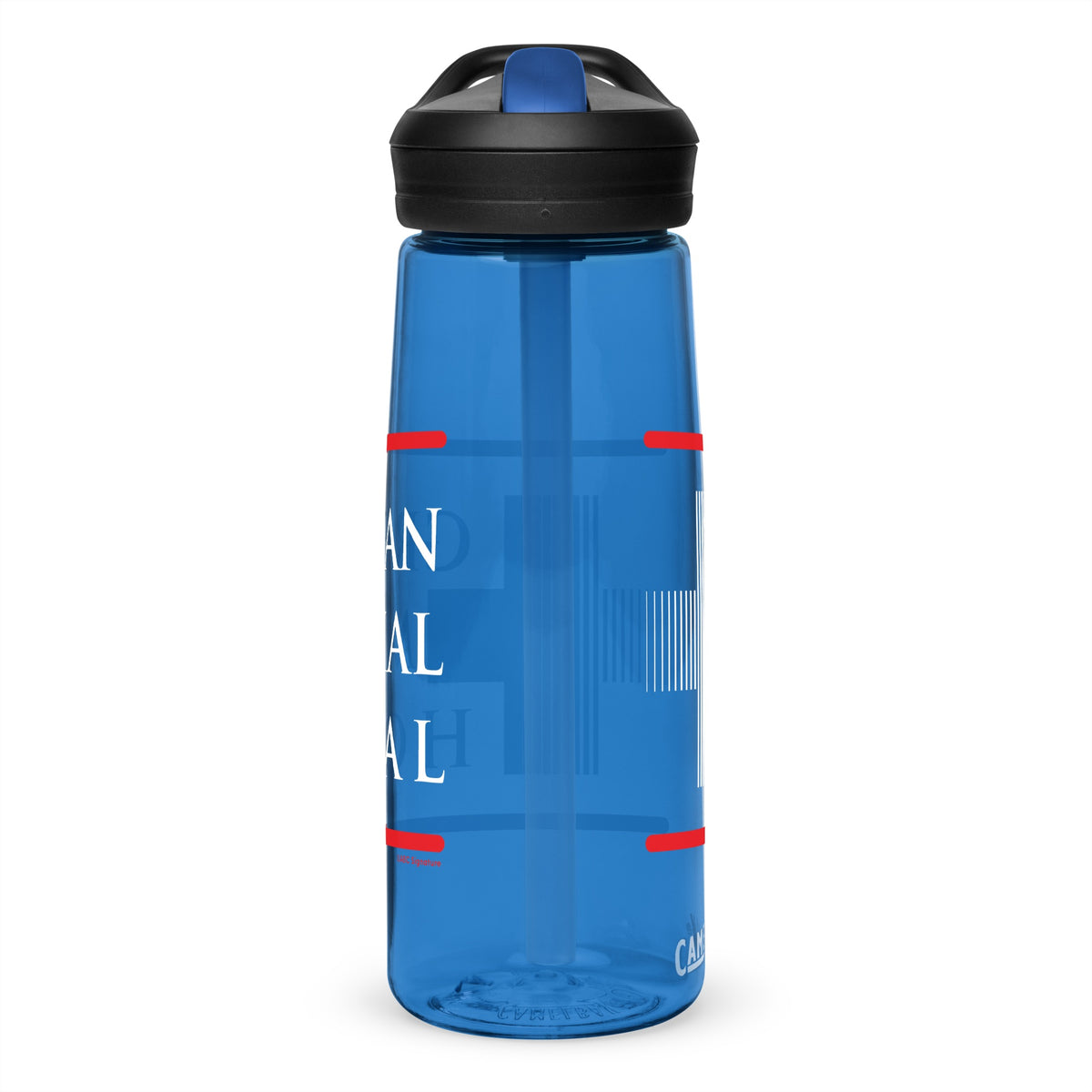 Grey's Anatomy Grey + Sloan Hospital Camelback Water Bottle