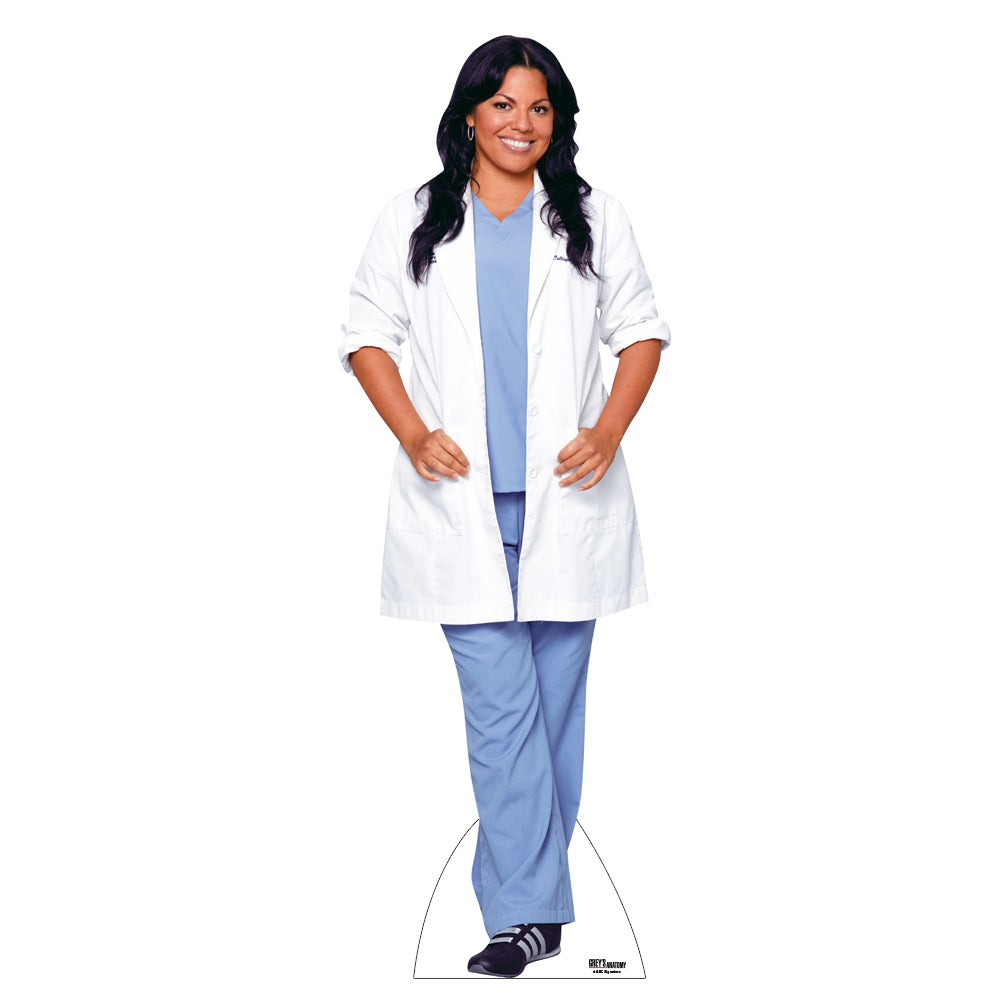 Grey's Anatomy Callie and Arizona Cardboard Cutout Standees 2 Piece Bu